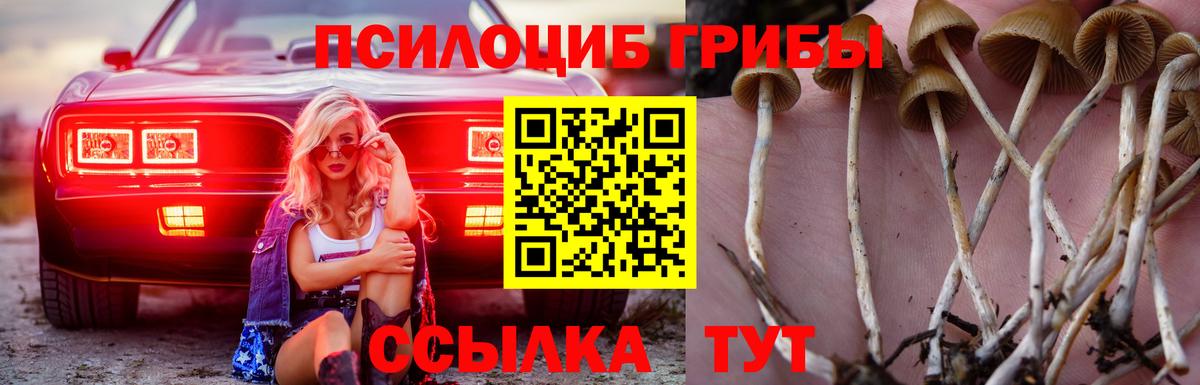 Ртищево  Псилоцибиновые грибы Magic Shrooms  Вход с VPN 